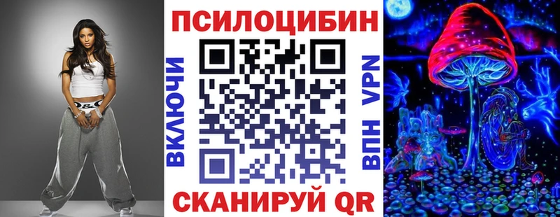 мега ССЫЛКА купить закладку Нахабино Псилоцибиновые грибы мицелий