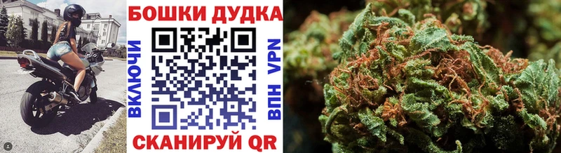 Марихуана индика  где купить наркотик  Нахабино 